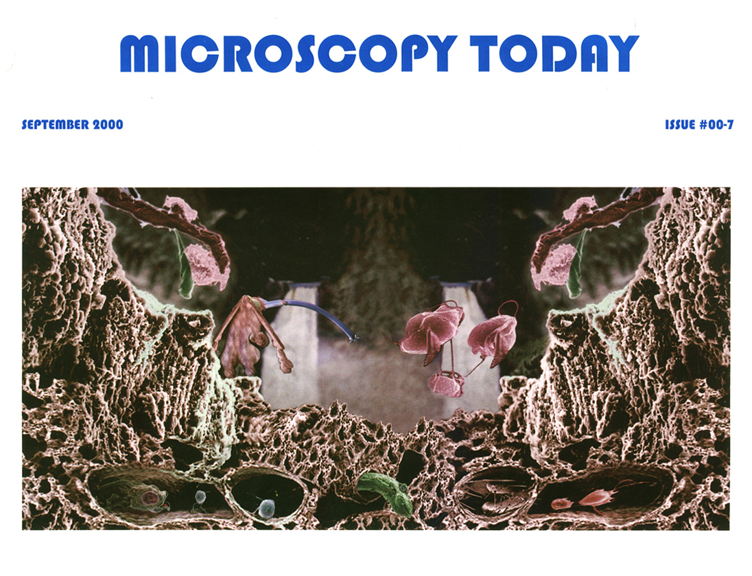 Mobile Alabama photographer Adrian Hoff's cover illustration for Microscopy Today magazine.
